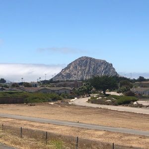 Meet your Posher, Sami